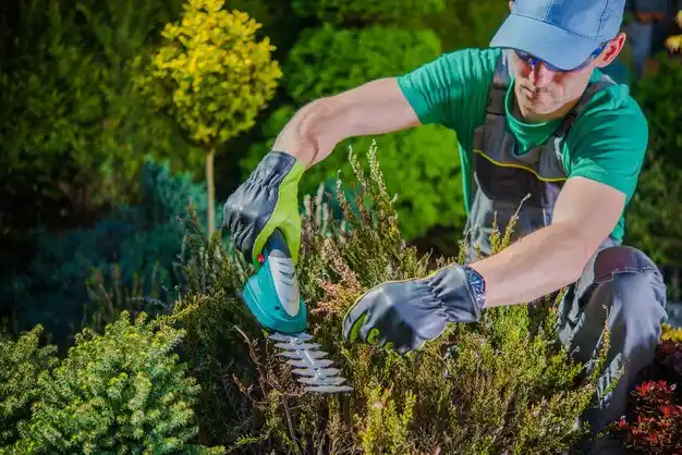 landscaping services Freeville